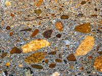 cross section of concrete sample